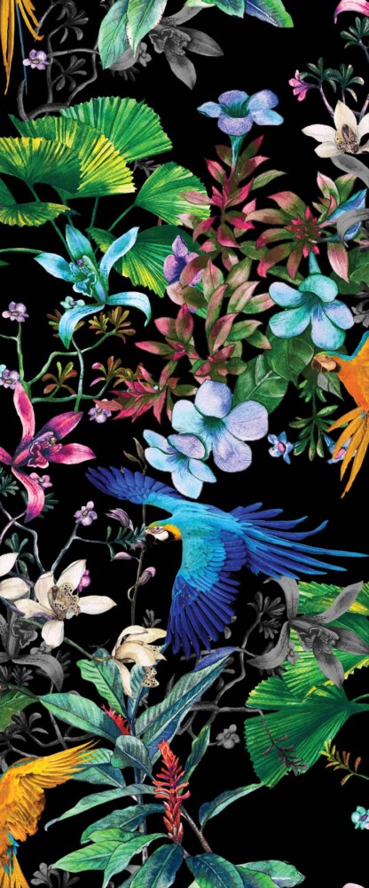 Birds of Paradise Wallpaper • Whimsical Walls