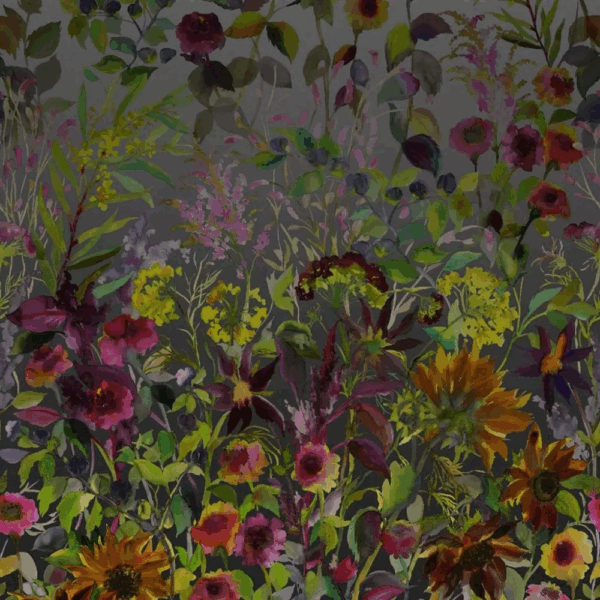 Indian Sunflower Wallpaper - Image 2