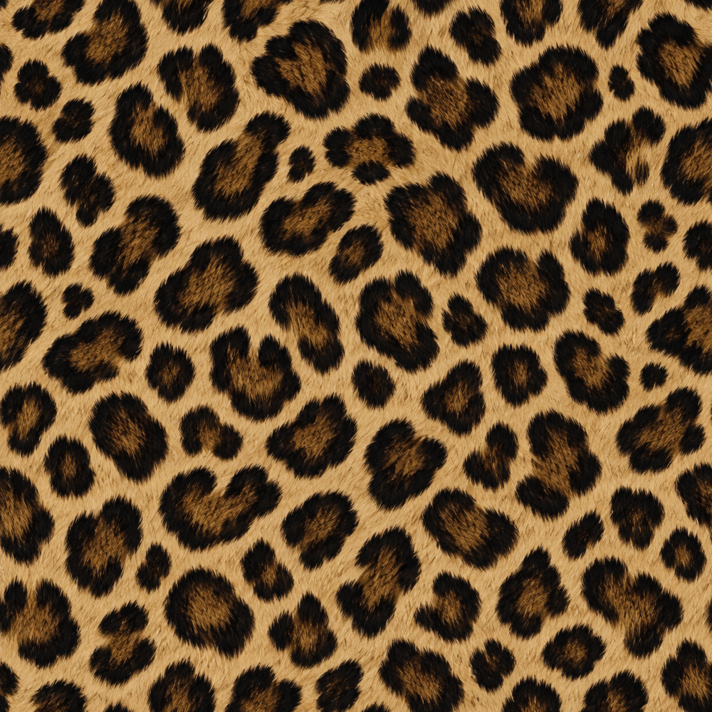 Leopard - Image 2